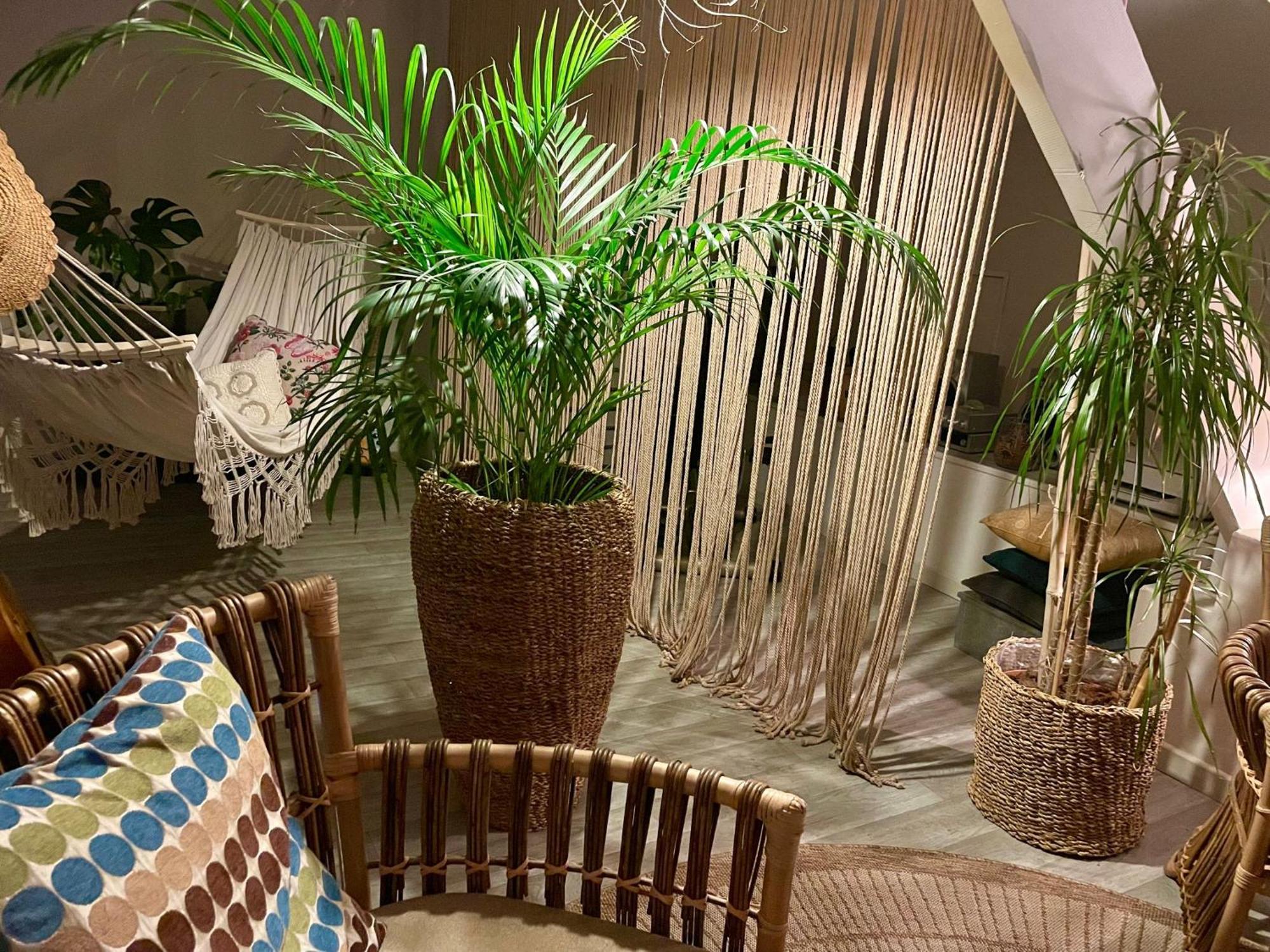פאו Chambre Boheme Chez Rachel מראה חיצוני תמונה