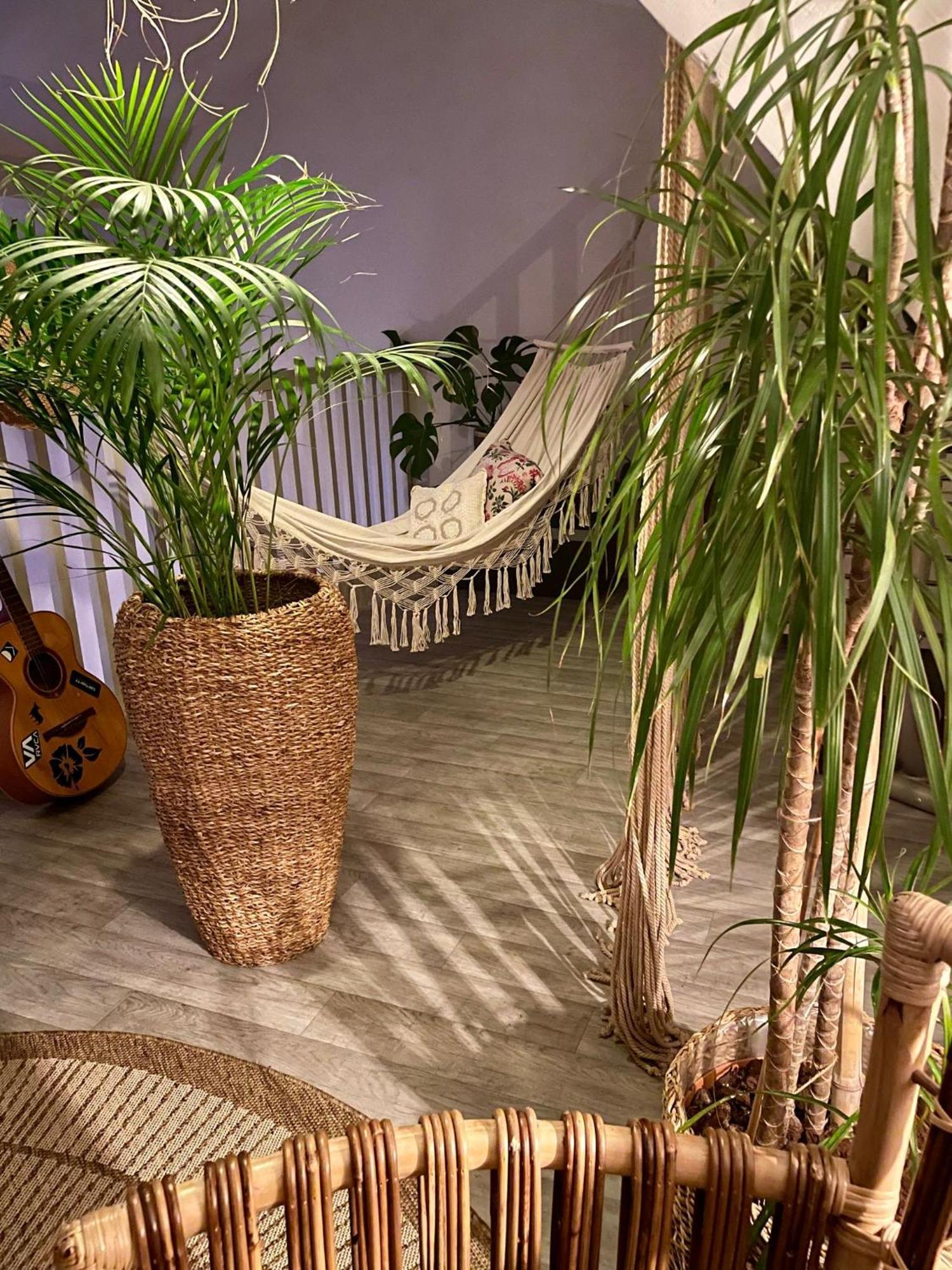 פאו Chambre Boheme Chez Rachel מראה חיצוני תמונה